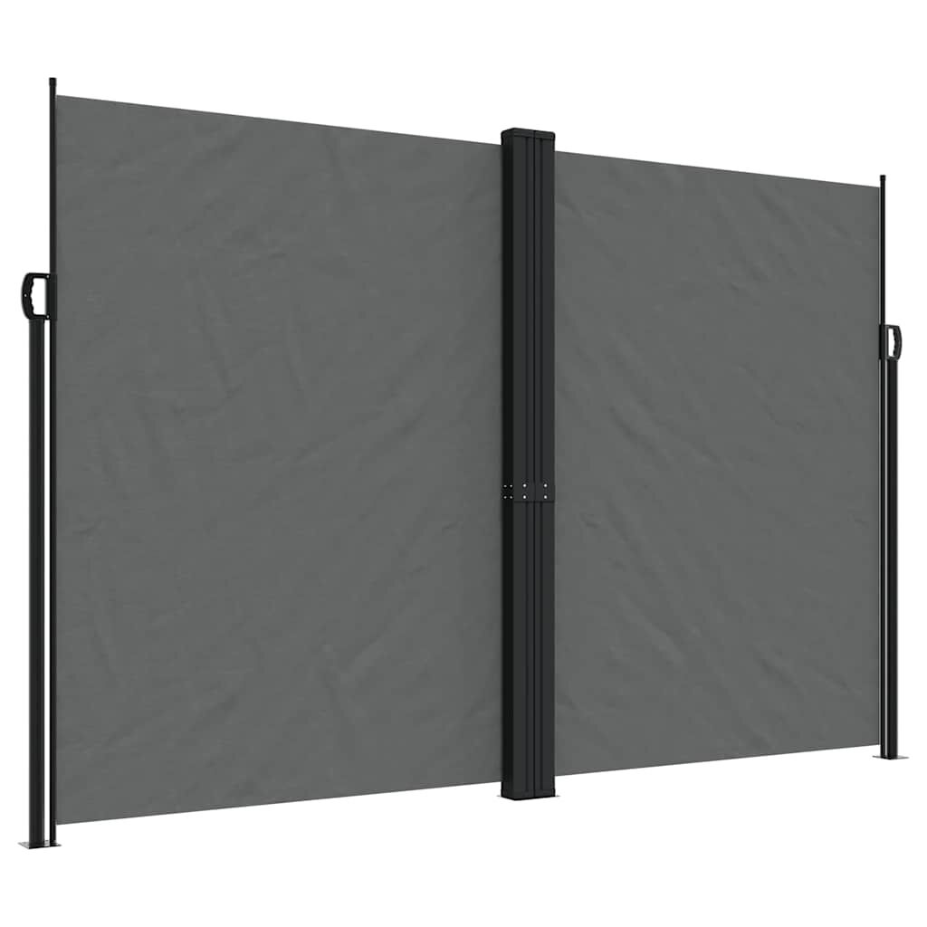 Vidaxl Toldo Lateral Retráctil Antracita 220x1000 Cm_0