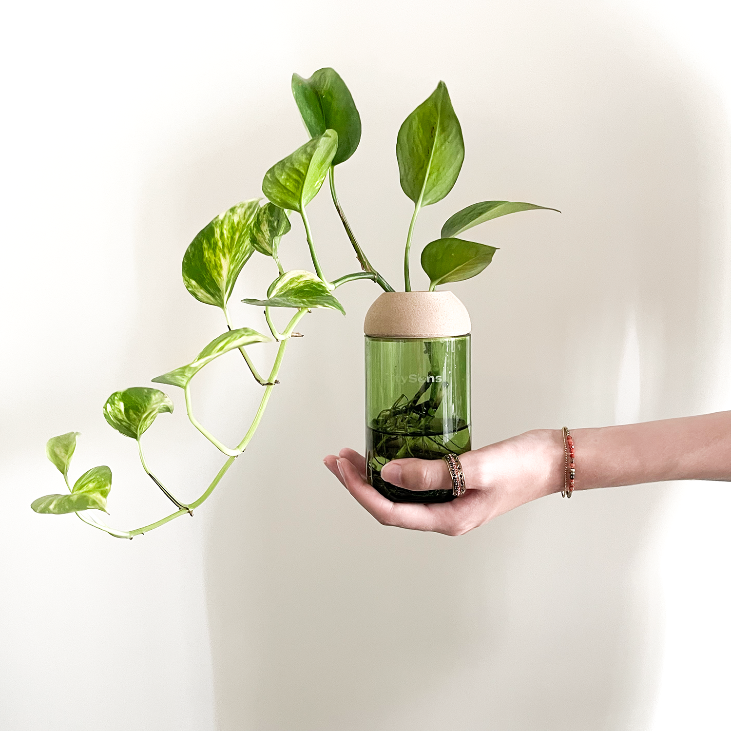 Macetero Transparente Citysens Con Soporte De Pino – Verde, Vidrio Reutilizado Y Biofilamento De Madera 3d