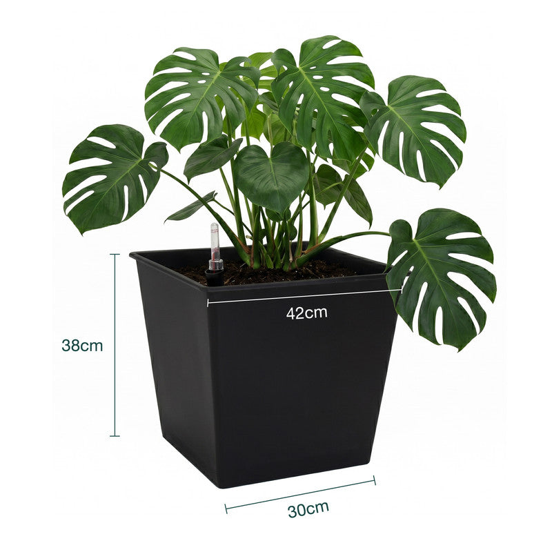 Pack De 3 Macetas Con Autorriego De Polipropileno 67 L 42x42x38 Cm Hortalia_2