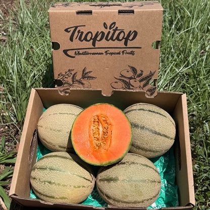 Caja De Melón Cantalupo Tropitop Caja De 2 Unidades (aprox. 3 Kg)_4