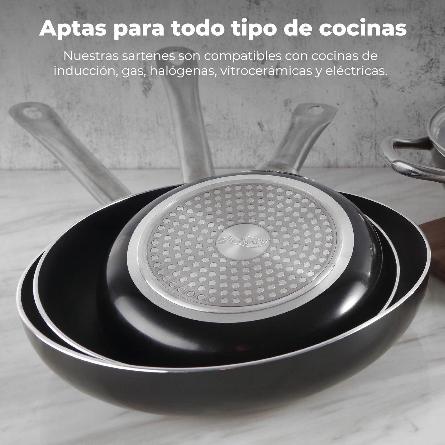 Sartén san Ignacio Serie Professional Chef 20x4.5cm En Aluminio Prensado._1