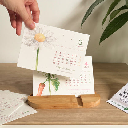 Calendario plantable de Navidad 2026 Transforma el tiempo en naturaleza Planeta Huerto