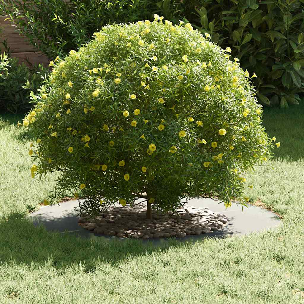 Adecuado Para Anillo De Árbol Plano Plateado Ø40 / 70 Cm_2