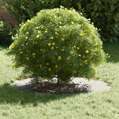 Adecuado Para Anillo De Árbol Plano Plateado Ø40 / 70 Cm_2