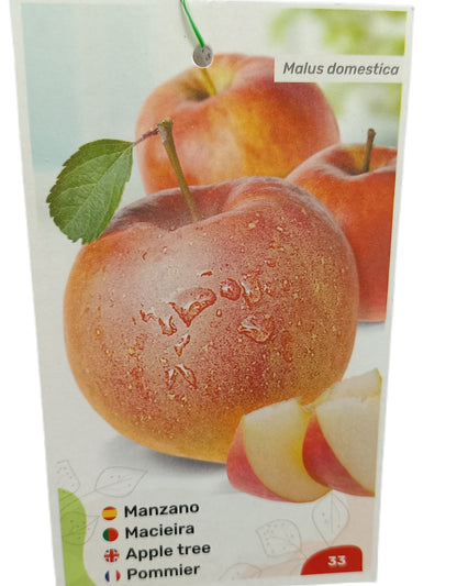 Manzano Fuji M25