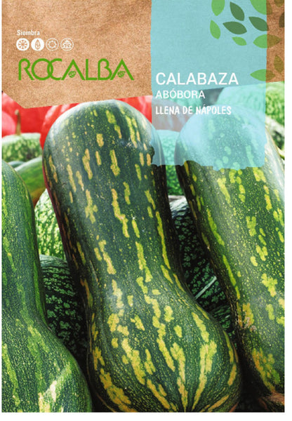 Semillas Calabaza Llena De Nápoles 3g