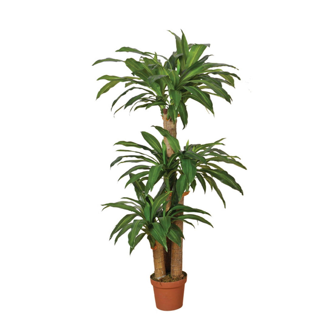 Planta Artificial Dracena - Decoración Sin Mantenimiento 1.45 M / Multicolor_1
