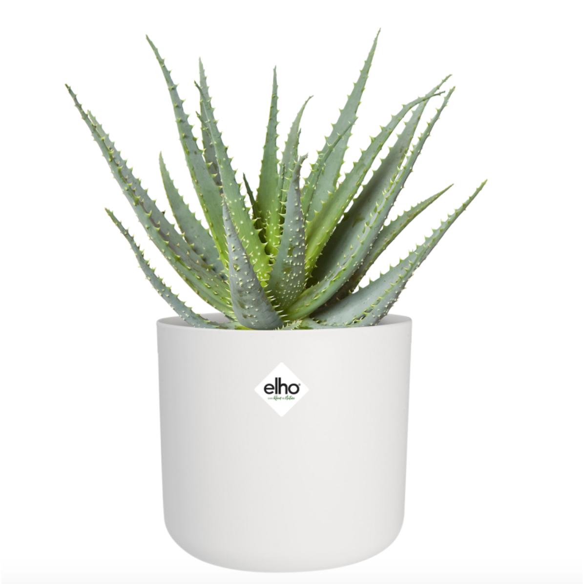 Macetero B.for Soft Round Elho Blanco 22 cm
