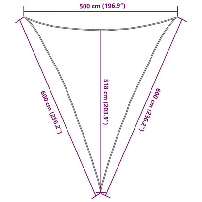 Vidaxl Toldo De Vela Triangular Hdpe Azul 160 G/m² 5x6x6 M_2