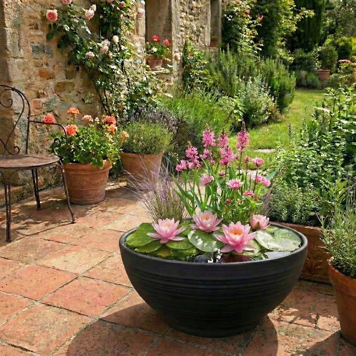 Mini Estanque Completo Rosa 25-90l - 4 Plantas, Ceratófilo Y 10 Marimos_1