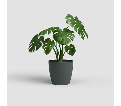 Artevasi Macetero Plastico Mate San Remo Antracita 36cm