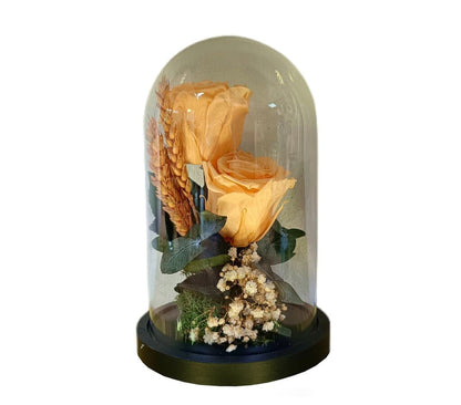 Cúpula 2 Rosas Melocotón 12x20cm_0