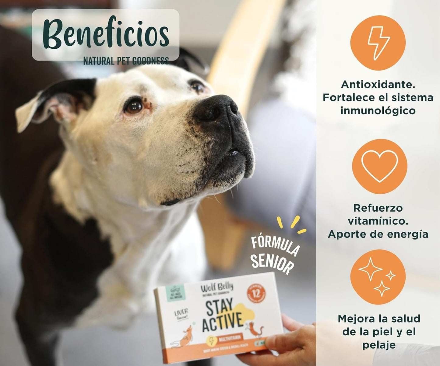 Wolf Belly Stay Active Vitaminas para Perros Senior +8 años 30 comp