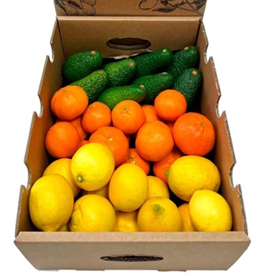 Mix Mandarinas, Limones Y Aguacates Hass De Temporada Tropitop 5kg_1
