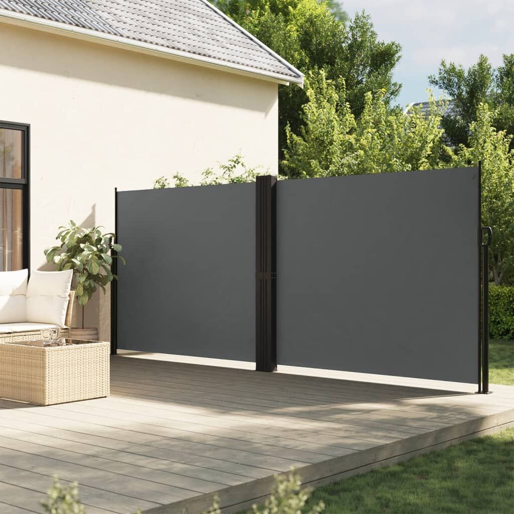 Vidaxl Toldo Lateral Retráctil Gris Antracita 160x1000 Cm_1