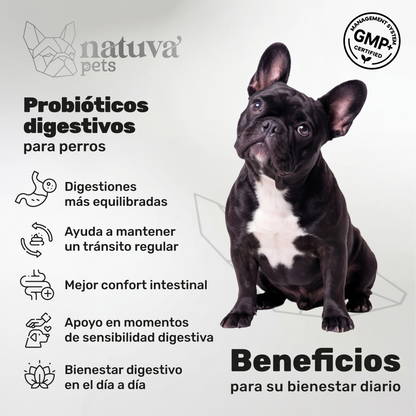 Pack 2x Probiótico Para Perros. Bienestar Digestivo. Suplementos Mascotas. 240 Masticables. Natuva Pets_1
