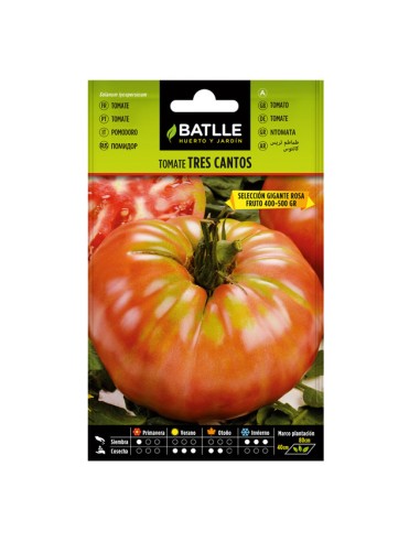 Semillas de Tomate Tres Cantos Batlle