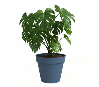 Artevasi Macetero De Plástico Capri Azul Grisáceo 25cm_1
