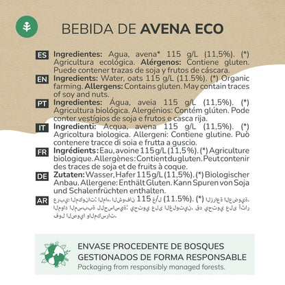 Pack 12x Bebida de Avena ECO Planeta Huerto 1L