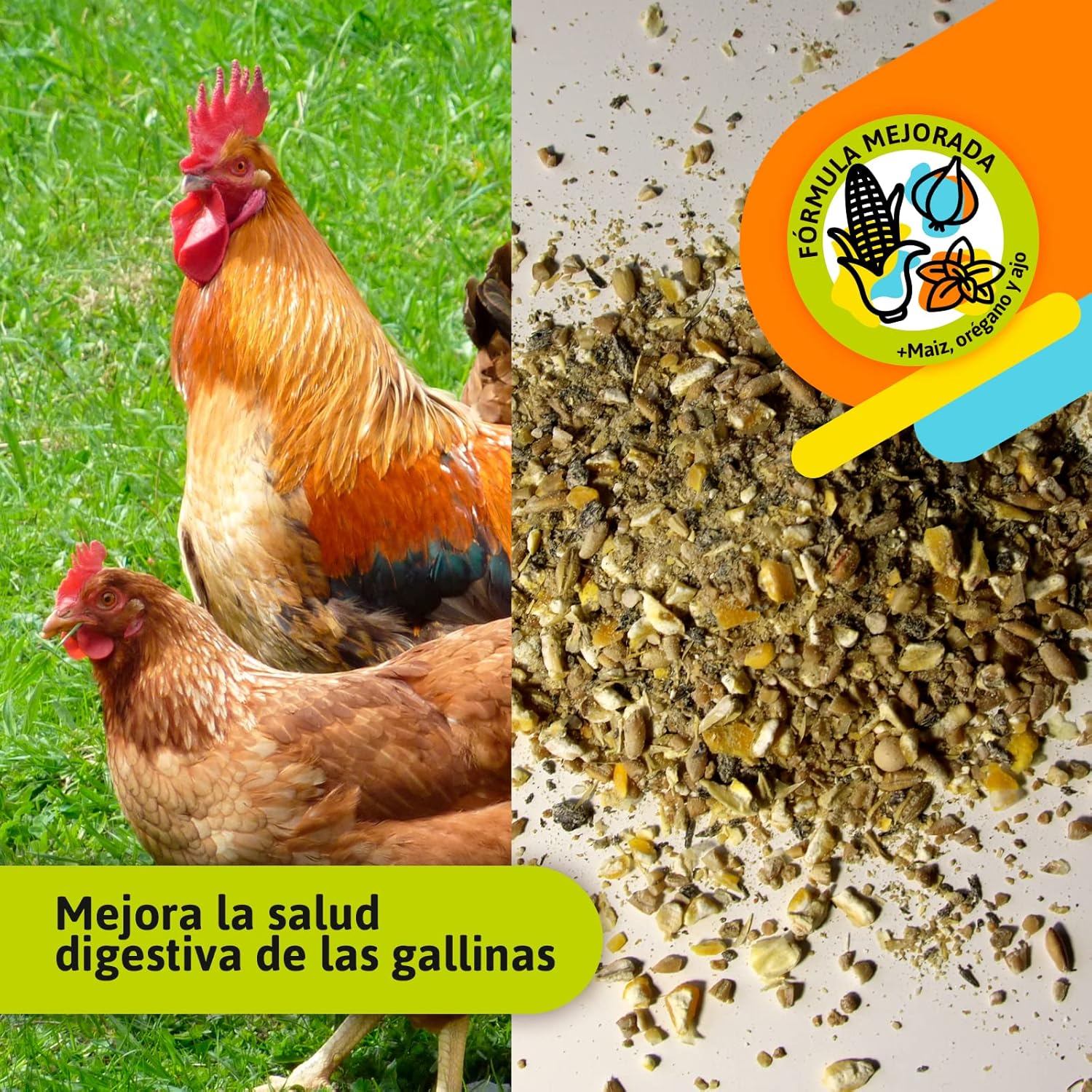 Pienso Gallinas Ponedoras ECOLÓGICO 20 kg – Cáscara Dura, Natural y Equilibrado para Producción de Huevos_2