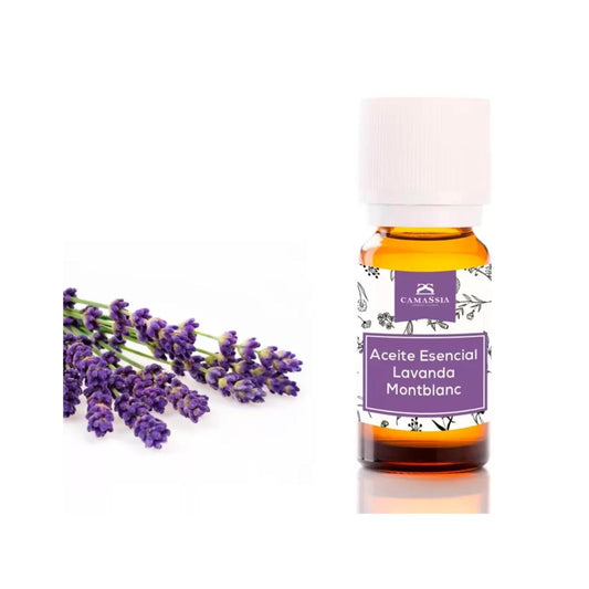 Aceite esencial de lavanda, Camassia 10 ml