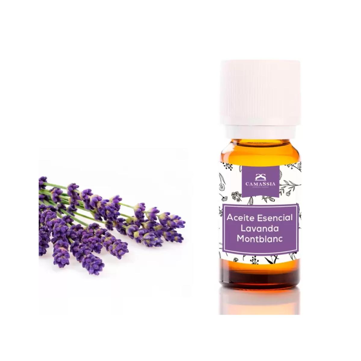 Aceite esencial de lavanda, Camassia 30 ml