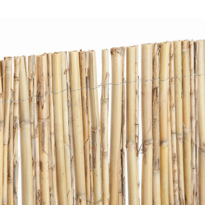 Cañizo Entero Natural - Protección Y Estilo Para Tu Espacio 2x5 M / Multicolor_1