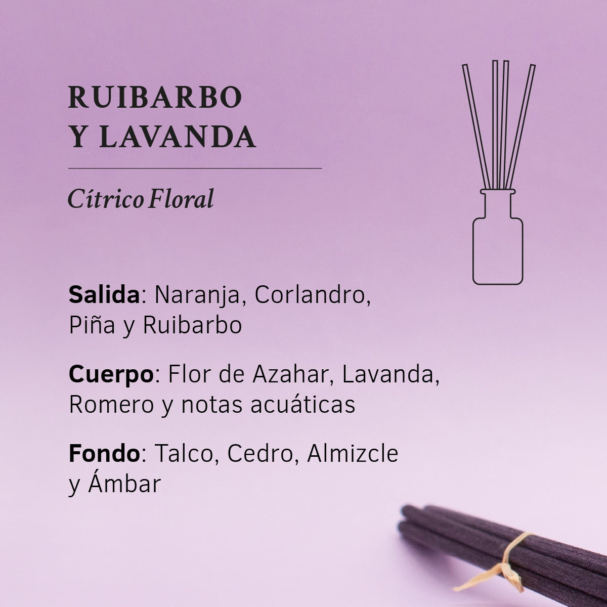 Ambientador Mikado Ruibarbo y Lavanda SYS Aromas 100 ml | Colección 1991 | Aroma Floral y Cítrico | Relajante_3