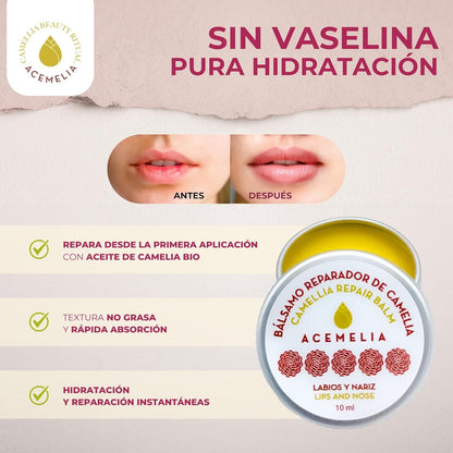 Labial Reparador para labios y nariz en lata con Aceite de Camelia