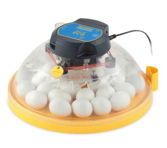 Brinsea Maxi Ii Eco - 30 Huevos De Gallina- Incubadora Analógica Con Volteo Manual_0