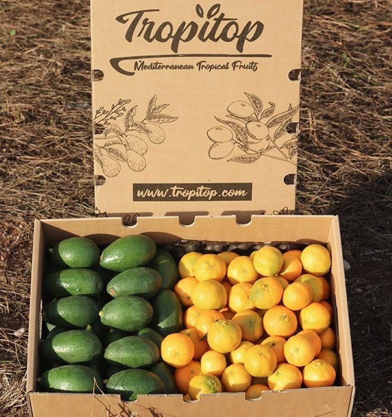 Caja 9kg Mix Aguacates De Piel Lisa Y Mandarinas | 4,5 Kg De Cada Fruta_3