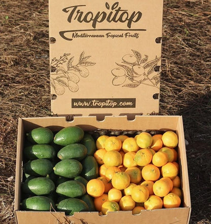 Caja 9kg Mix Aguacates De Piel Lisa Y Mandarinas | 4,5 Kg De Cada Fruta_3