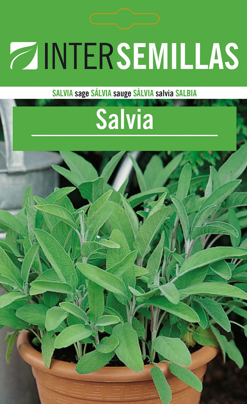 Sobre De Semillas De Salvia