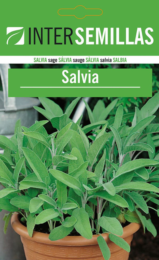 Sobre De Semillas De Salvia_0