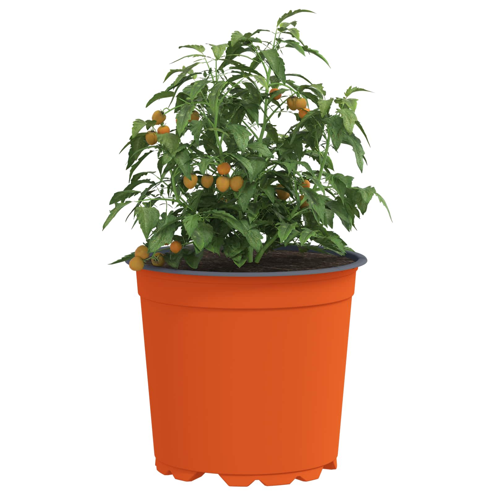 Maceta De Flores 100 Pcs Terracota Ø 15 X 13 Cm Plástico_2