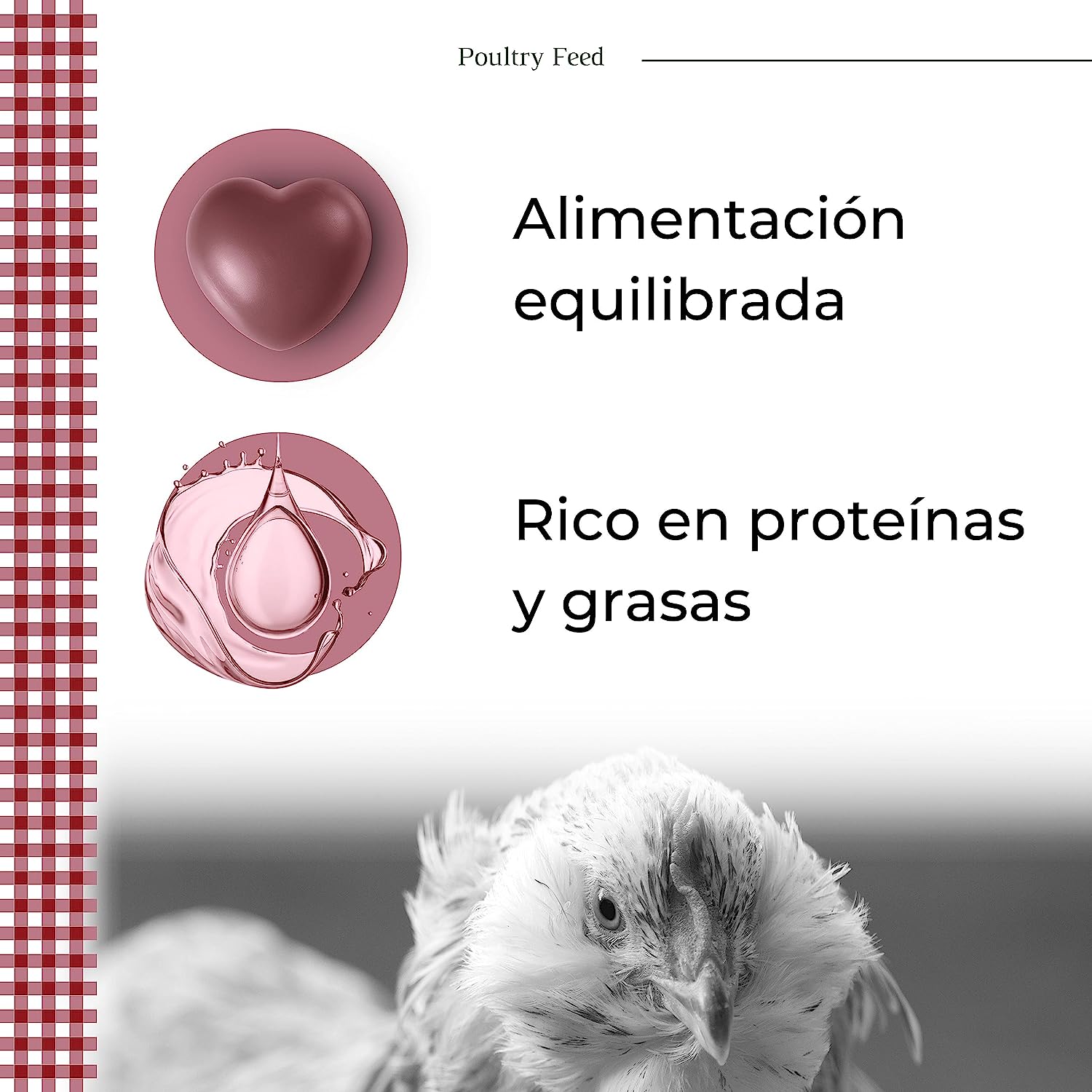 Pienso De Recría Poultry Feed_2