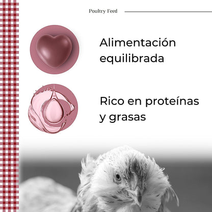 Pienso De Recría Poultry Feed_2
