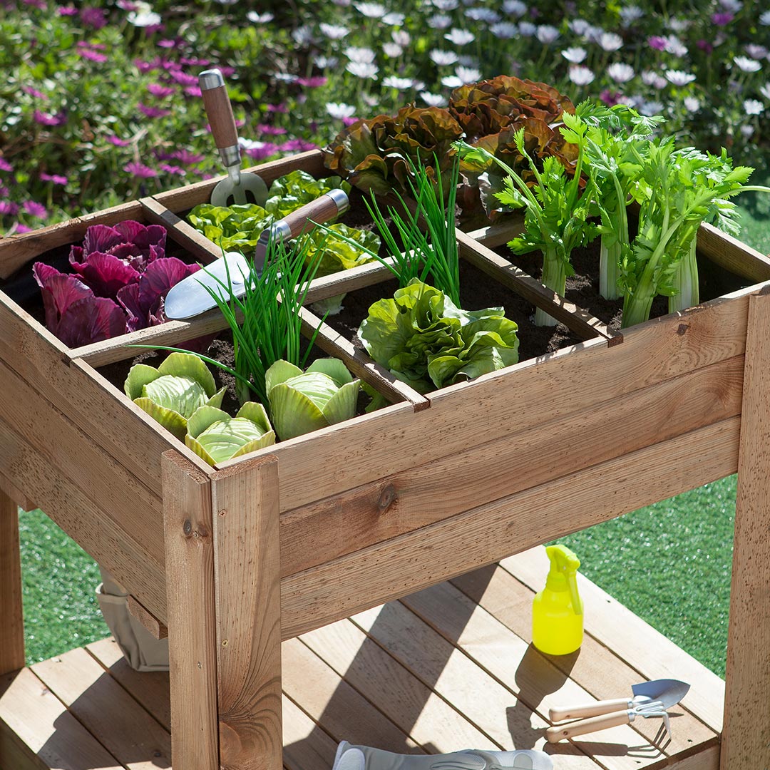 Mesa De Cultivo Germin 60 - Huerto Vertical En Madera 0,8x0,8x0,6 M / Multicolor_2