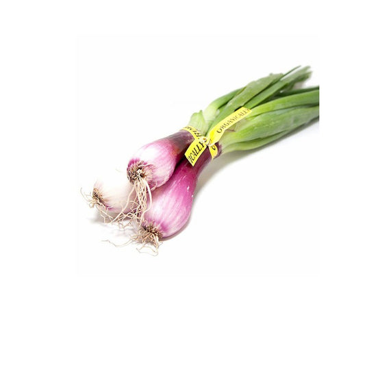 Cebolleta Roja Fresca De Conil. 1 KG_0
