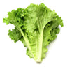 Lechuga Verde De Conil. 1 PIEZA ± 1´5 KG