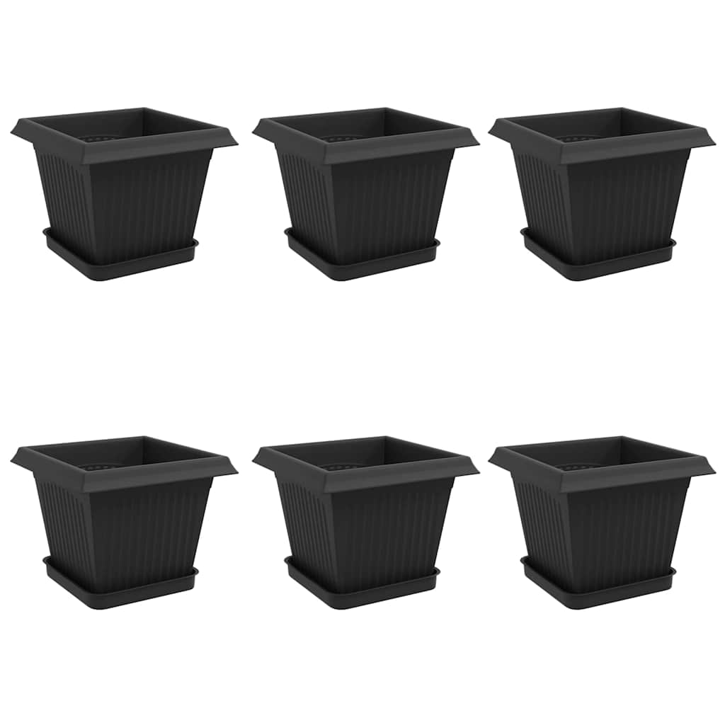 Macetas 6 Pcs Negro 20 X 20 X 16 Cm Plástico_0