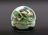 Nanogarden Terrario Ball Mix 4p 20x20cm