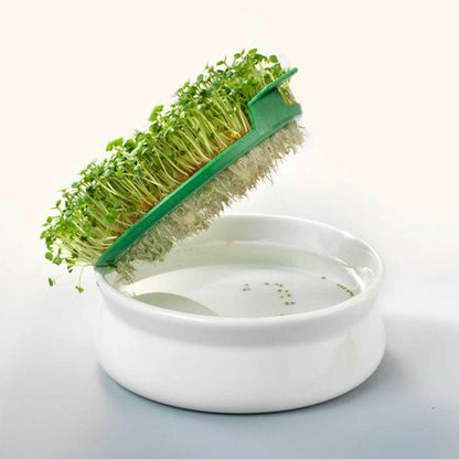 Bol para germinar con rejilla de plástico GermLine