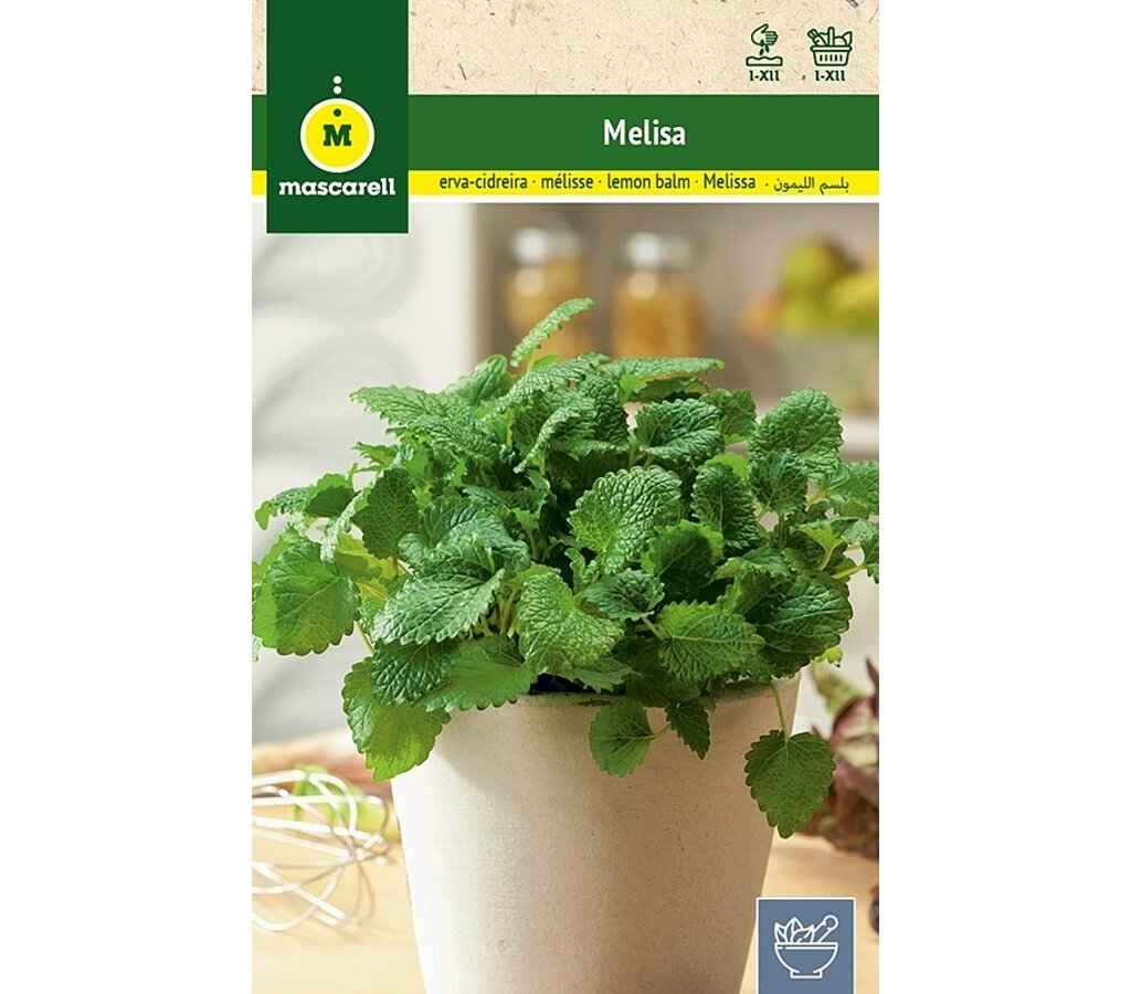 Semillas Melisa_0