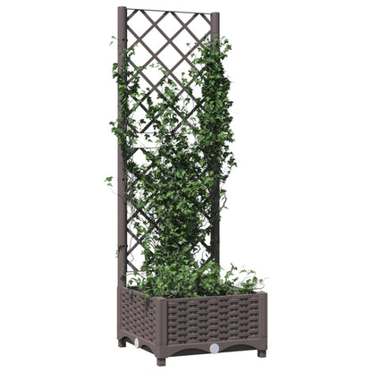 Jardinera Con Enrejado Pp Marrón 40x40x121,5 Cm_2