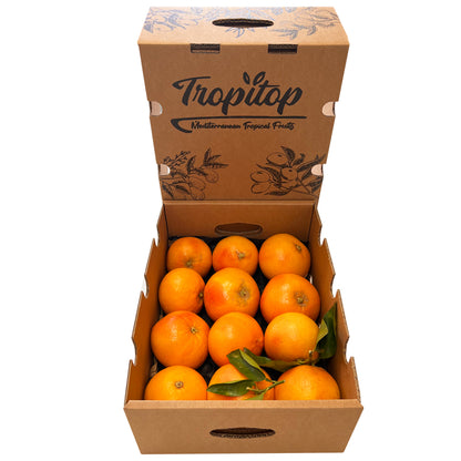 Pomelos Rojos Star Ruby Valencianos Tropitop 9kg_0