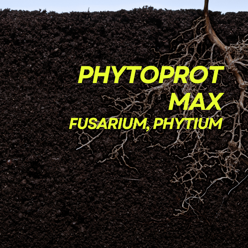 Phytoprot Max 100 ml – Prot-eco- Protección Radicular Ecológica Y Enraizamiento Vigoroso