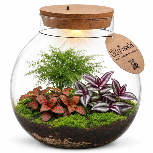 Terrario Grande - Ø30 Cm - Ecosistema - Cristal - Diy_0