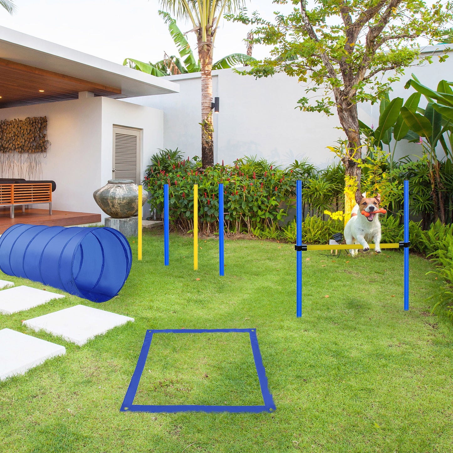 Pawhut Set De Entrenamiento De Agilidad Para Perros Obstáculos De Salto Túnel_1