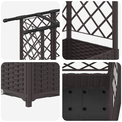 Cama Elevada Con Trellis Y Techo Marrón 164 X 40 X 121 Cm Pp_5